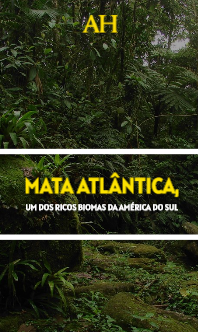 Mata Atlântica, um dos ricos biomas da América do Sul