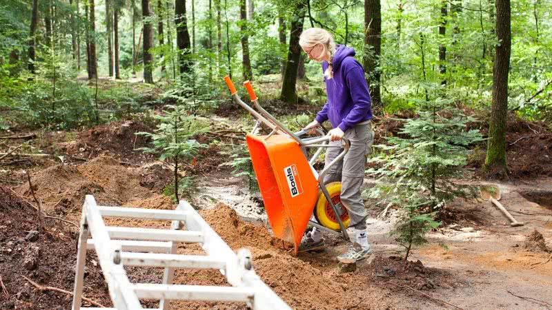 Escavações realizadas na floresta próxima de Ermelo, Holanda - Divulgação/Universidade de Leiden