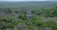 Ruínas de Tikal, na atual Guatemala - Divulgação/Stephen Houston