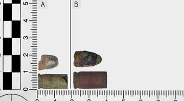 Balas encontradas no Vale da Morte, na Polônia - Divulgação/Dawid Kobialka