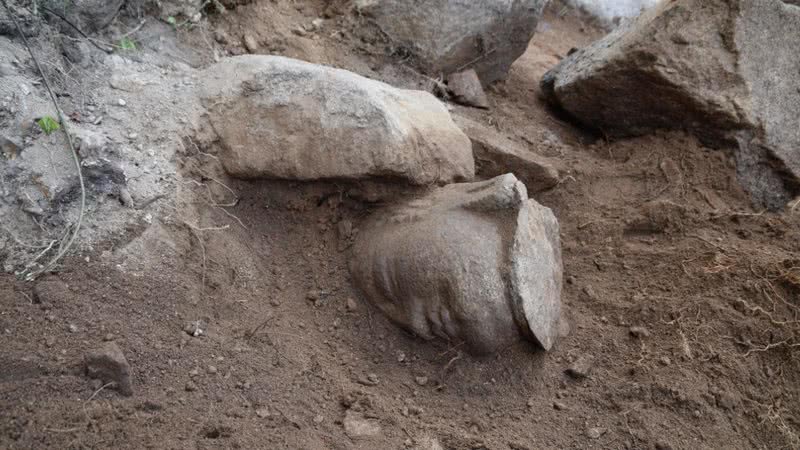 A cabeça da estátua de Buda encontrada - Administração do Patrimônio Cultural