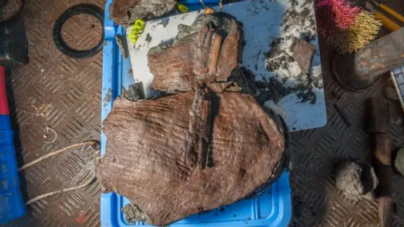 Uma cesta de fruta de 2 mil anos encontrada em Thonis-Heracleion - Divulgação/Fundação Hilti - Christoph Gerigk/Franck Goddio