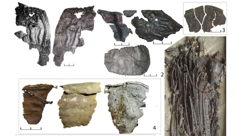 Imagem mostrando couros analisados - Divulgação/ PLOS ONE