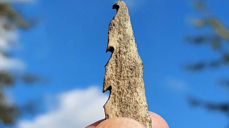 Fotografia de uma arma no estilo das analisadas pelo estudo - Divulgação/ Willy van Wingerden