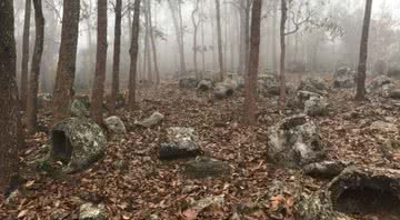 Fotografia onde é possível ver algumas das centenas de jarras de pedras da região - Divulgação / Projeto Arqueológico Plain of Jars