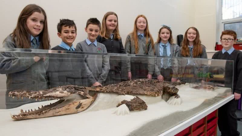 Alunos da escola Ysgol Bodringalt com o esqueleto do crocodilo - Divulgação/Conselho Rhondda Cynon Taf