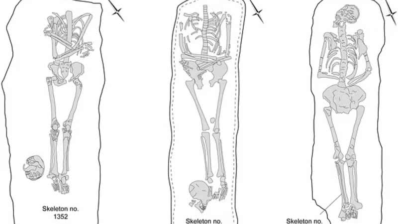 Desenho de esqueletos encontrados na Fazenda de Knobb - Divulgação/Universidade de Cambridge