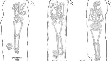 Desenho de esqueletos encontrados na Fazenda de Knobb - Divulgação/Universidade de Cambridge