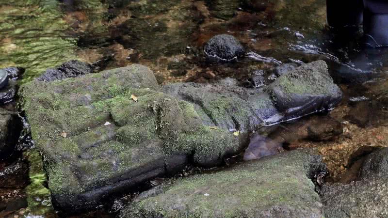 A estátua da Virgem - Divulgação/EFE