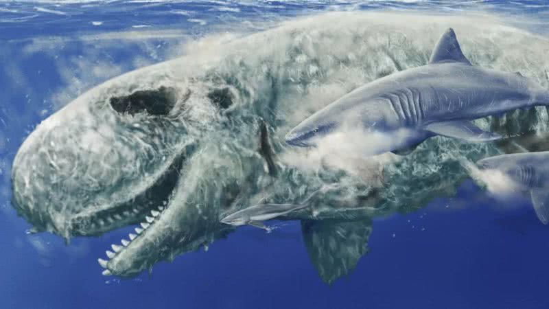 Ilustração mostra Megalodonte e cachalote - Divulgação/Jaime Bran