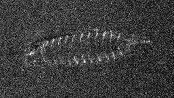 Imagem de sonar da embarcação - Divulgação/ FFI/ NTNU