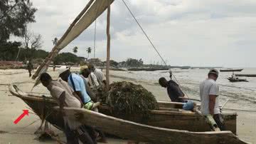 Fotografia de um "ngalawa", um dos barcos estudados - Divulgação/Lucy Blue