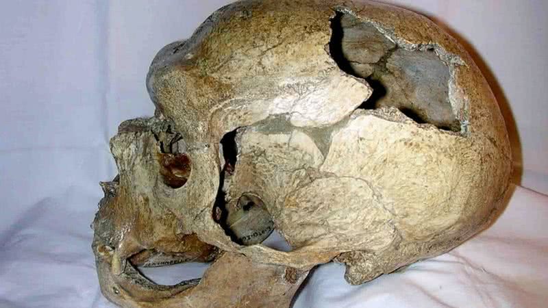 Crânio do "Velho de La Chapelle", reexaminado no estudo deste ano - PLoS (2004) Neandertals Likely Kept Their Genes to Themselves via Wikimedia Commons