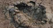 Pegada de dinossauro descoberta na praia de Penarth, no País de Gales - Divulgação/Peter Falkingham/Museu de História Natural de Londres