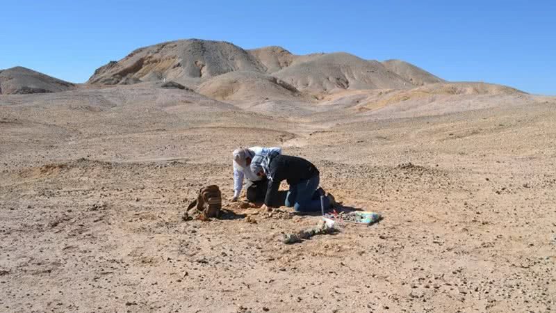 Pesquisadores da Universidade do Chile e do Museu de História Natural e Cultural do Deserto de Atacama no sítio - Rodrigo Otero