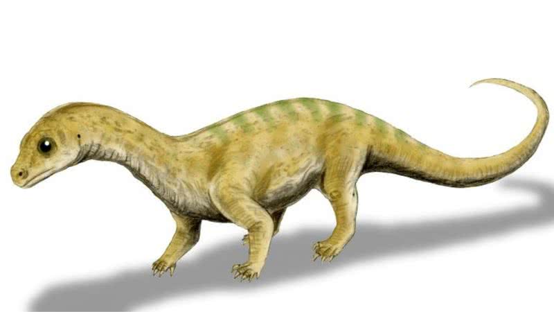 Ilustração mostrando representação anterior do fóssil, como se fosse um dinossauro filhote - Wikimedia Commons