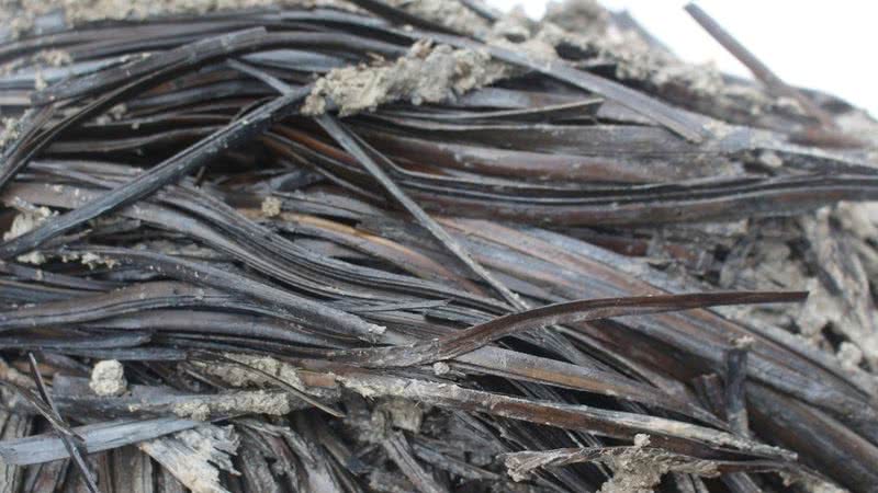 Fotografia de tiras de bambu encontradas no local da escavação - Divulgação/ Museu Jingzhou