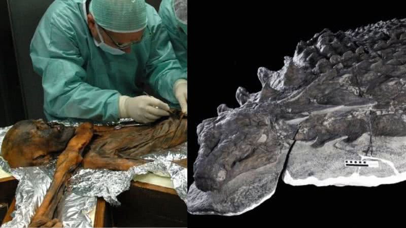 Análise no corpo de Ötzi e parte de dinossauro encontrada - Divulgação/South Tyrol Archeology Museum - Divulgação/Science Direct/Caleb M. Brown