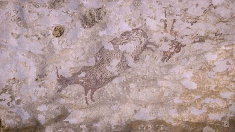 Desenho em caverna na Indonésia - Divulgação/BBC/Griffith University