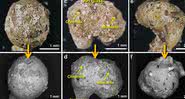 Material contendo vidro escavado em Tell Abu Hureyra - Scientific Reports