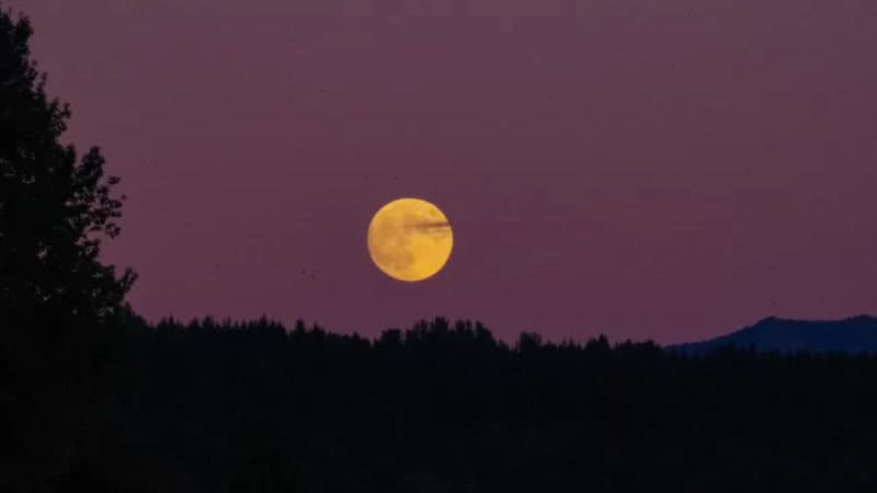 Superlua de morango ocorre hoje, 14. - Getty Images