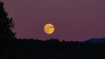 Superlua de morango ocorre hoje, 14. - Getty Images