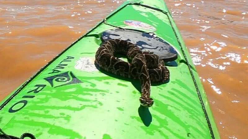 Cobra no caiaque - Divulgação / Alejandro Ponce de Leon