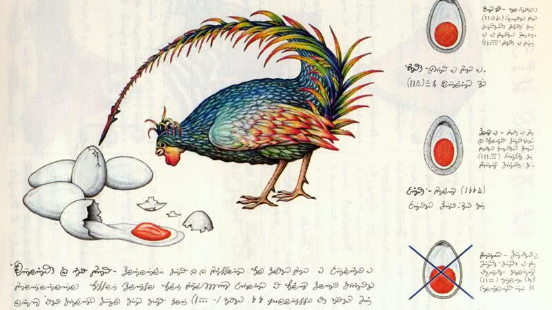 Uma das páginas do bizarro Codex Seraphinianus - Divulgação