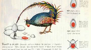 Uma das páginas do bizarro Codex Seraphinianus - Divulgação