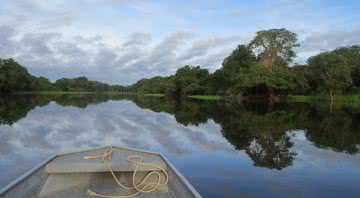 Imagem meramente ilustrativa da floresta Amazônica - Divulgação/Pixabay