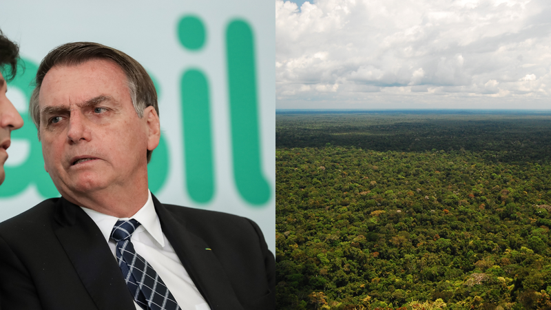 Atual presidente do Brasil, Jair Bolsonaro, e foto aérea da Amazônia brasileira - Wikimedia Commons / Palácio do Planalto e Wikimedia Commons / Andre Zumak