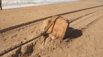 Um dos objetos encontrados em praia da Bahia - Divulgação/ Limpurb