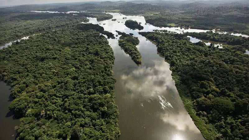 Imagem aérea de floresta amazônica - Getty Images