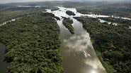 Imagem aérea de floresta amazônica - Getty Images