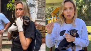 Instituto Luisa Mell foi responsável por resgatar animais da 'Mulher da Casa Abandonada' - Divulgação/YouTube/Vou Contar Tudo / Divulgação/Instagram @luisamell