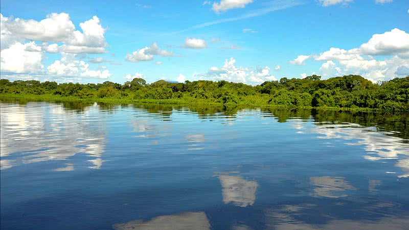 Registro do Pantanal - Wikimedia Commons