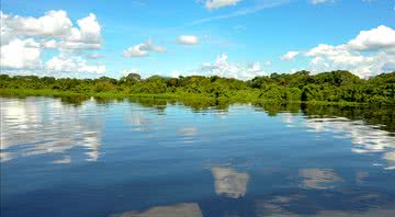 Registro do Pantanal - Wikimedia Commons