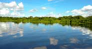 Registro do Pantanal - Wikimedia Commons