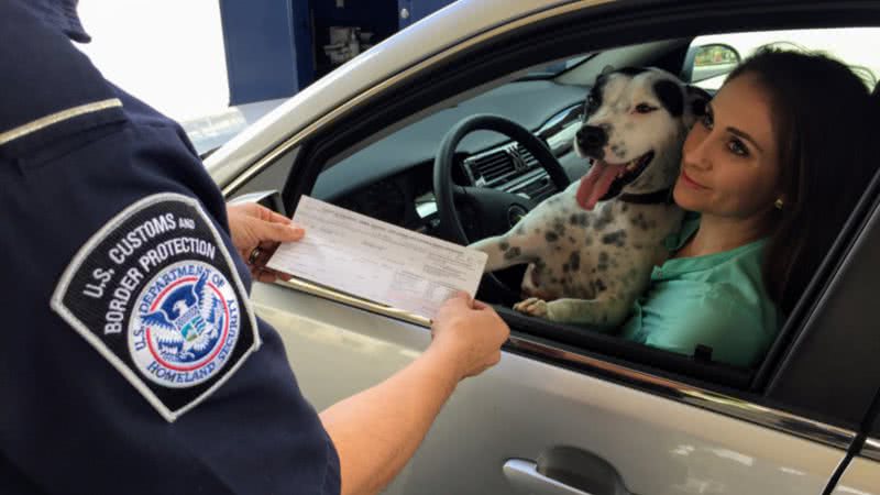 Campanha de vacinação de raiva em animais foi adianta no DF - Foto por Maureen Fonseca-Ford pelo Wikimedia Commons