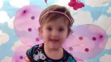 Sophia, menina de 2 anos que morreu no último dia 26 de janeiro - Reprodução