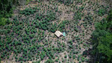 Visão aérea de área desmatada em terra yanomami, no Roraima - Andressa Anholete/Getty Images