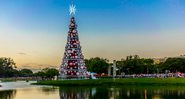 Árvore de Natal no Parque do Ibirapuera, em São Paulo - Getty Images