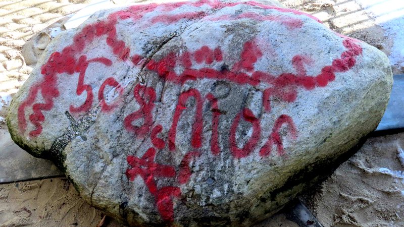 Plymouth Rock grafitada com tinta vermelha - Divulgação