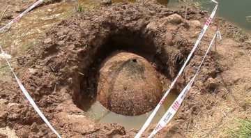 Casco de um glyptodont encontrado na Argetina - Rupty