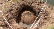 Casco de um glyptodont encontrado na Argetina - Rupty