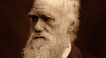 Charles Darwin - Getty Images