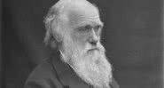 Charles Darwin - Wikimedia Commons