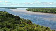 Fotografia de trecho da floresta amazônica - Divulgação/ Neil Palmer/ CIAT