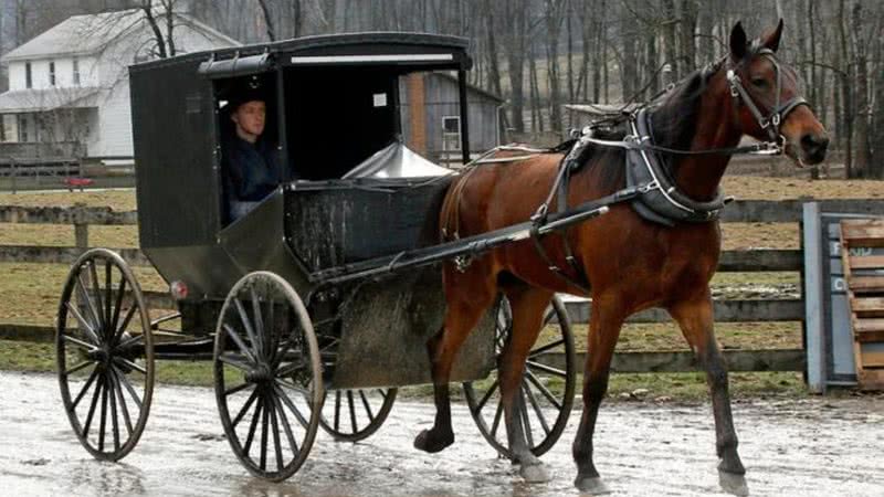 Família amish andando de carroça - Wikimedia Commons