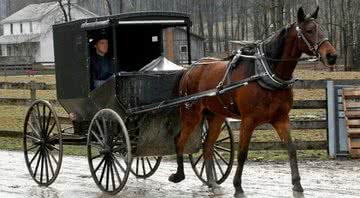 Família amish andando de carroça - Wikimedia Commons